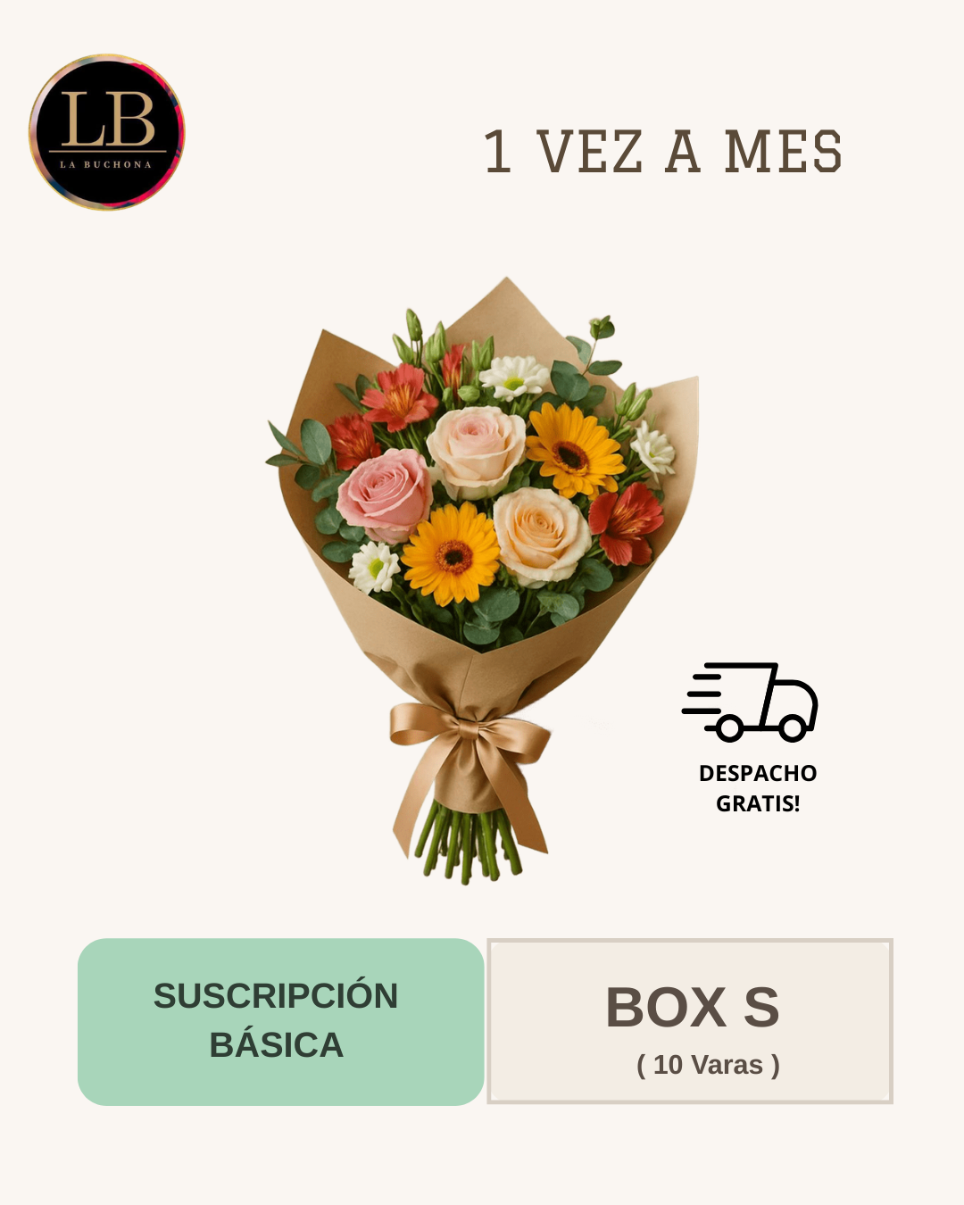 Suscripción Básica - Box S