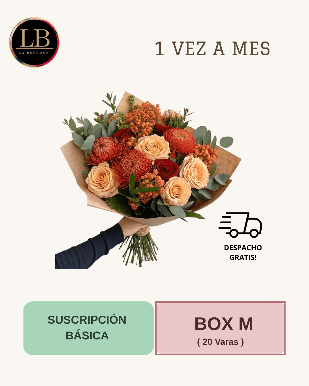 Suscripción Básica - Box M