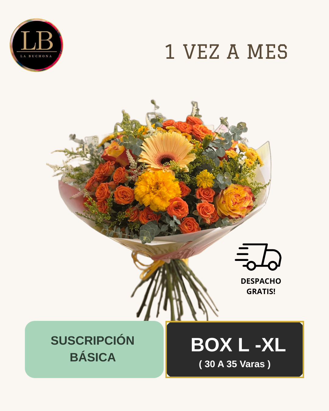 Suscripción Básica - Box L-XL
