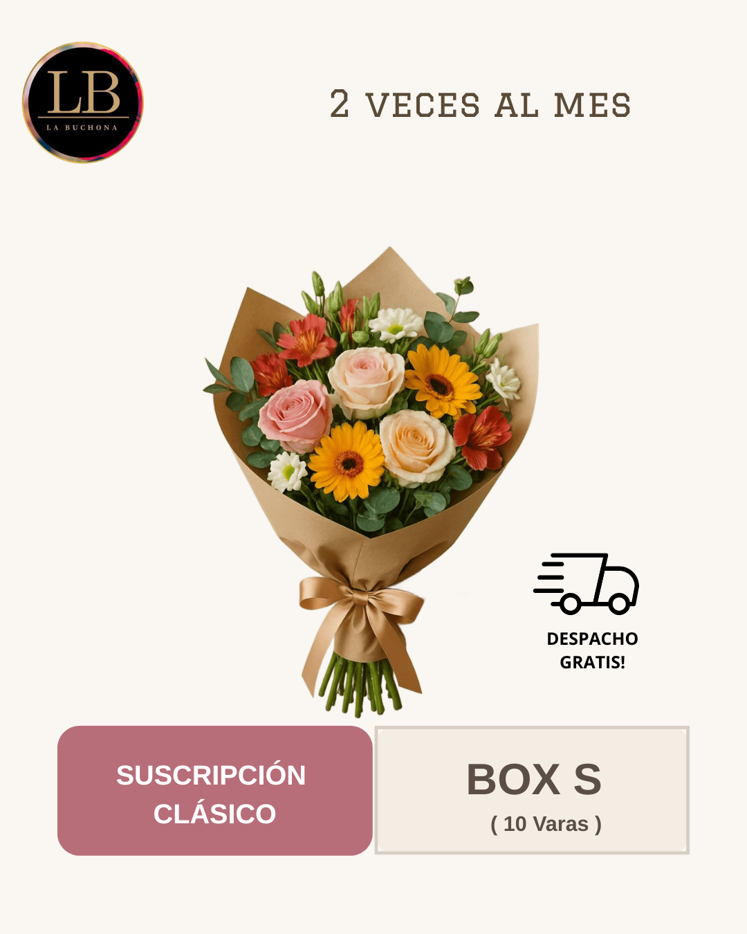 Suscripción Clásica - Box S