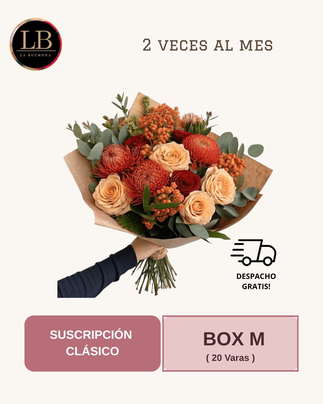 Suscripción Clásica - Box M