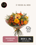 Suscripción Clásica - Box L - XL
