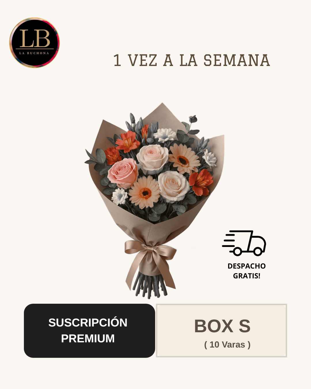 Suscripción Premium - Box S