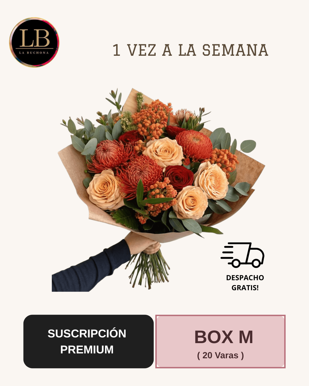 Suscripción Premium - Box M