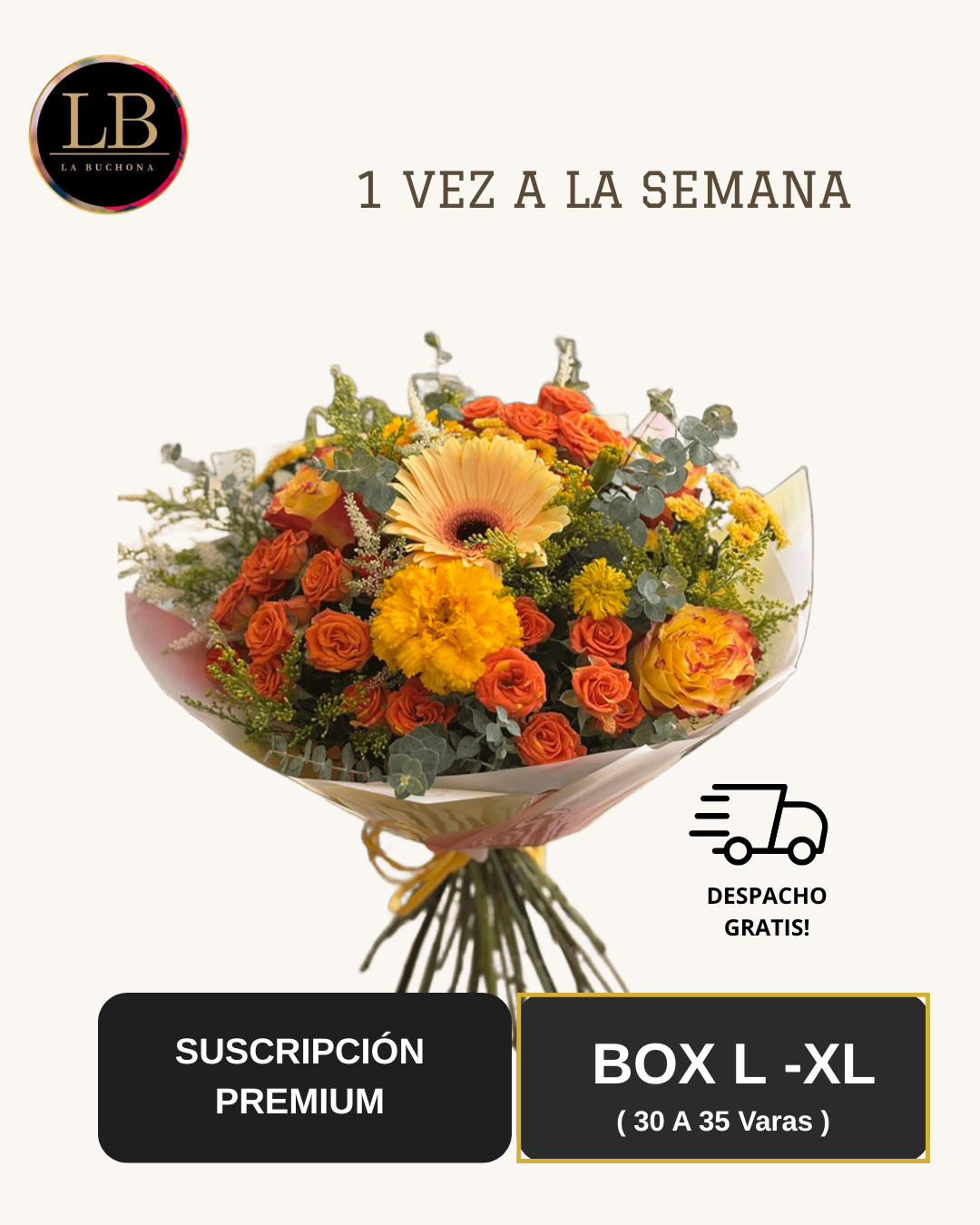 Suscripción Premium - Box L-XL