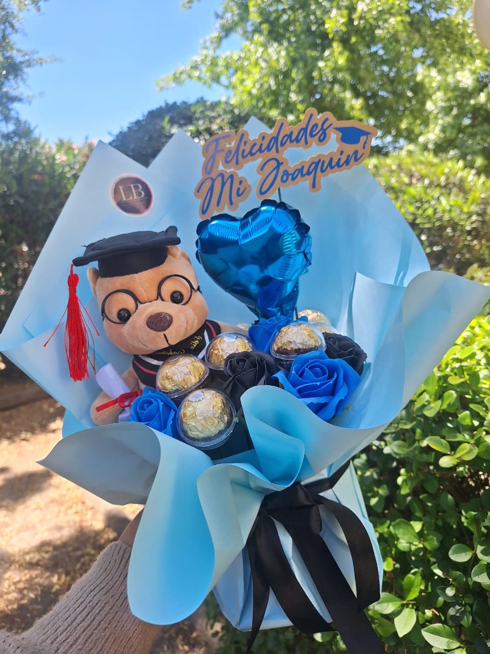 Osito Graduado