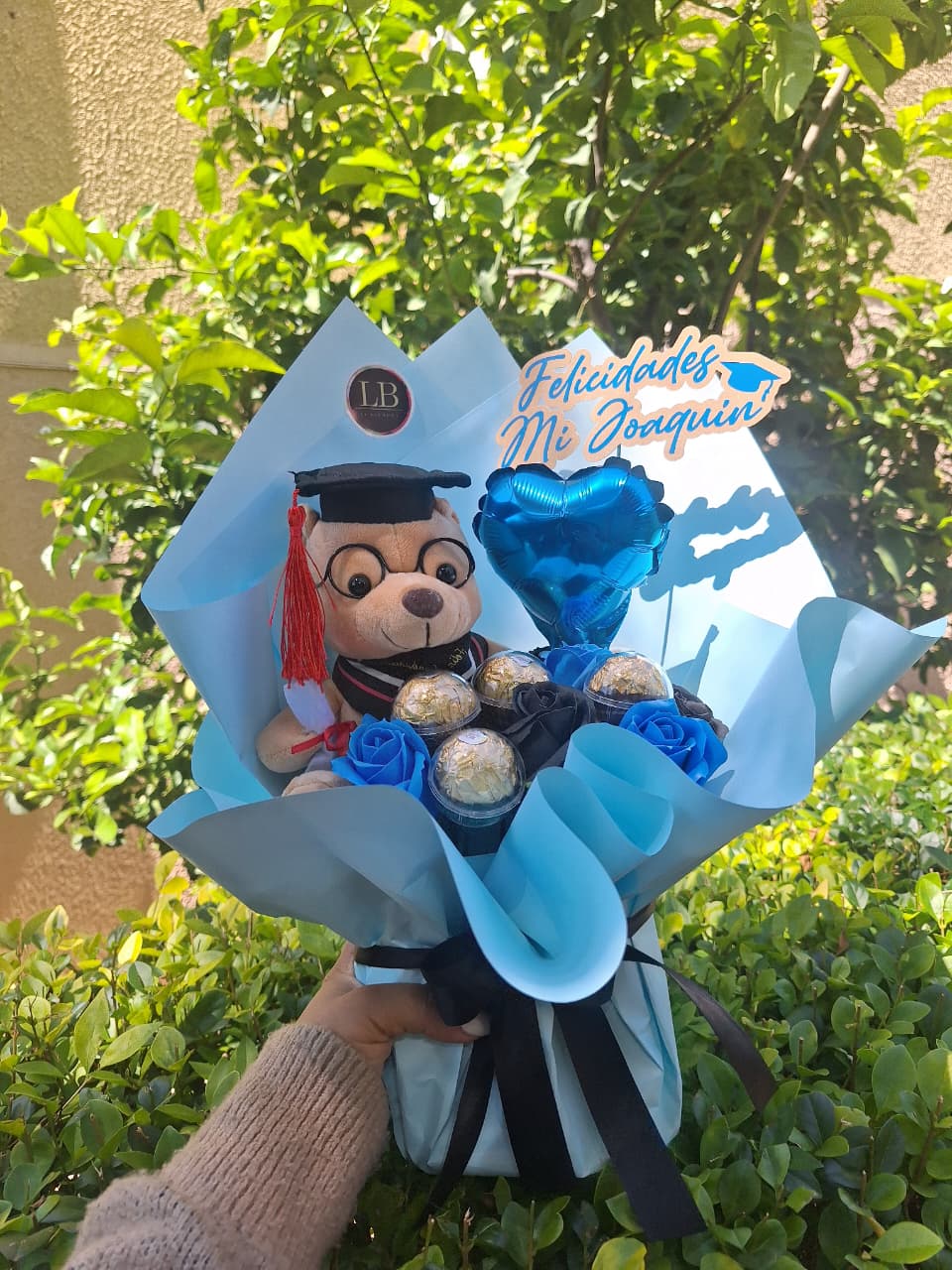 Osito Graduado