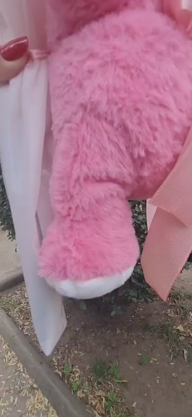 Minibuchon Lotso